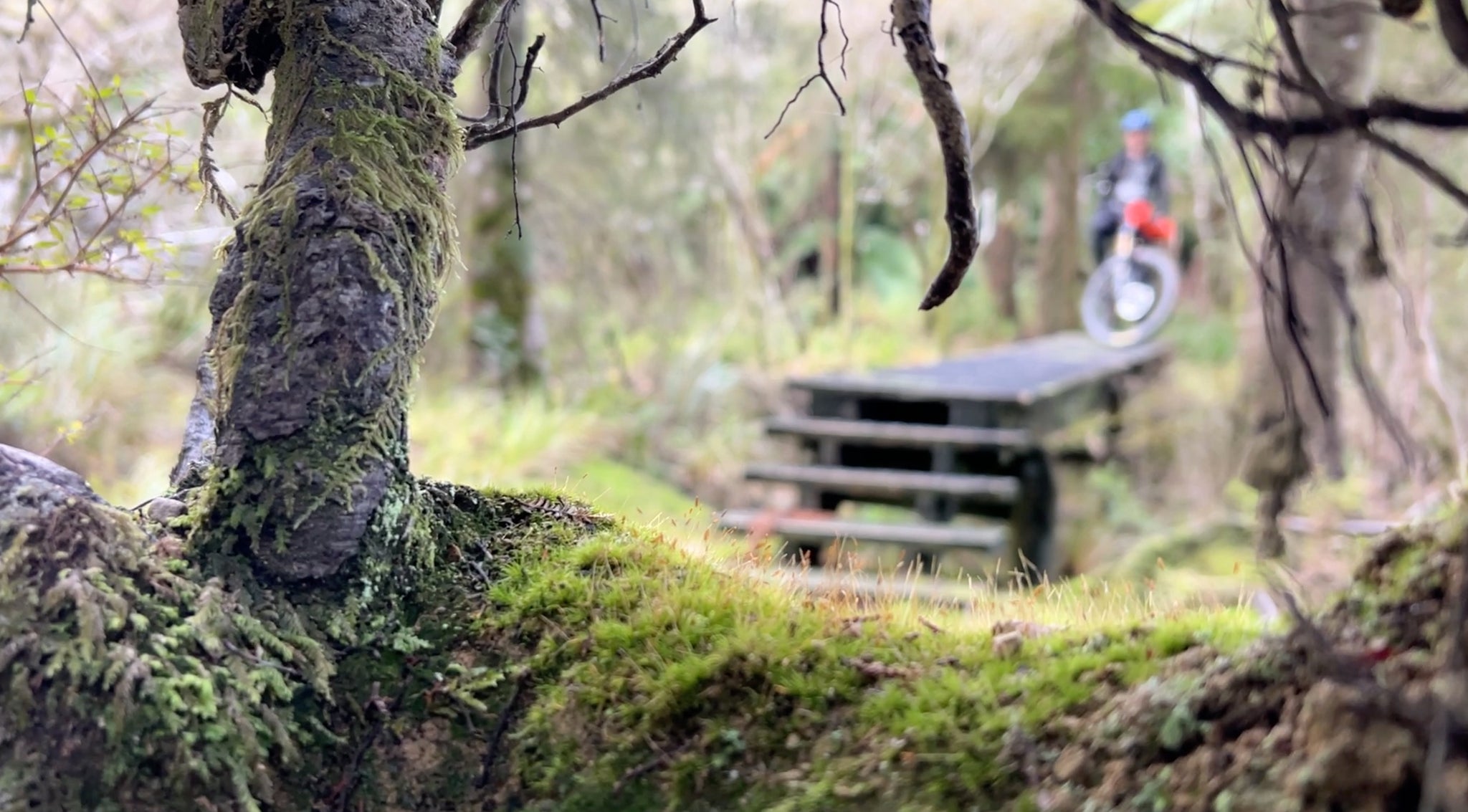 THE NYDIA TRACK - "The best ride you've never heard of" - Bikepacking New Zealand