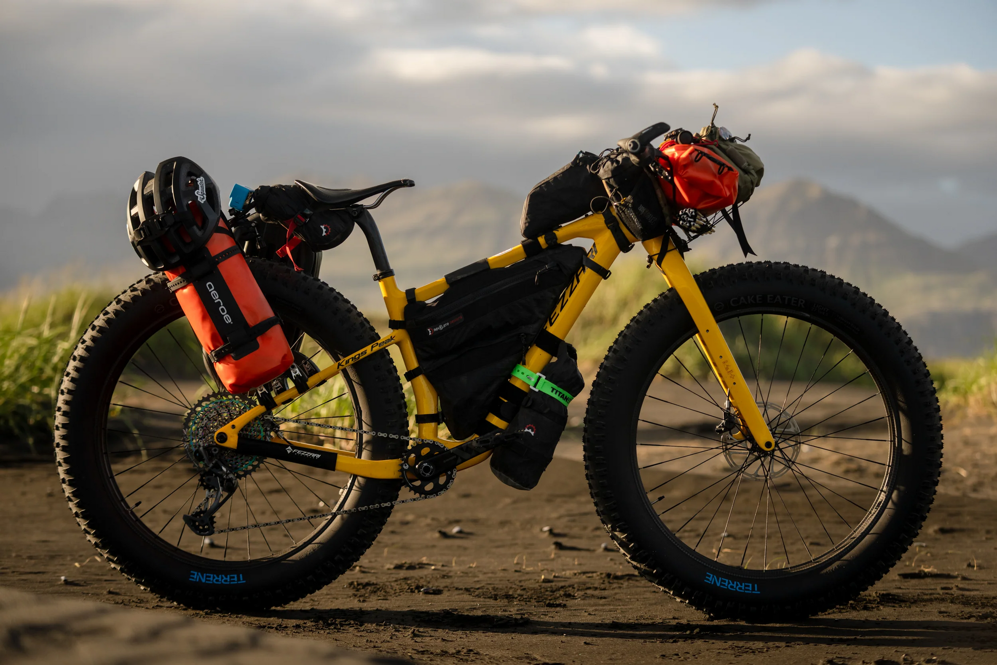 Rack hot sale fat bike